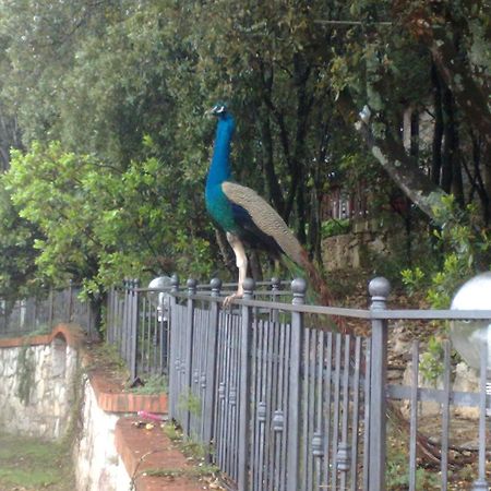 B&B Spring Perugia Luaran gambar