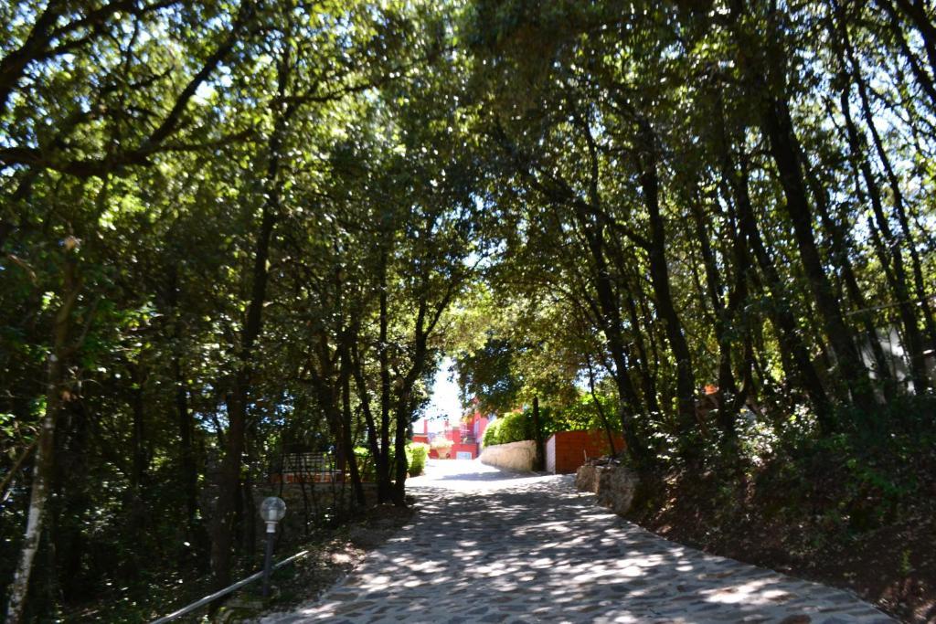 B&B Spring Perugia Luaran gambar