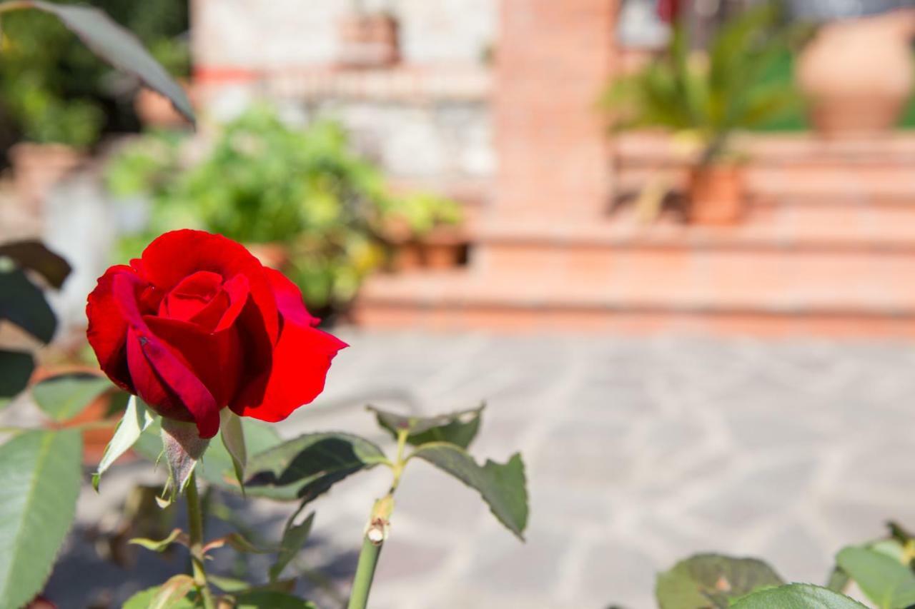 B&B Spring Perugia Luaran gambar